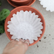 Imagen para el artículo titulado El truco para que las plantas que tienes dejen de morir probablemente lo tienes en casa